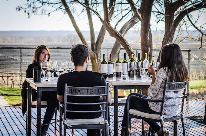 Wine Tasting And Picnic At Bodega Piattelli foto 2