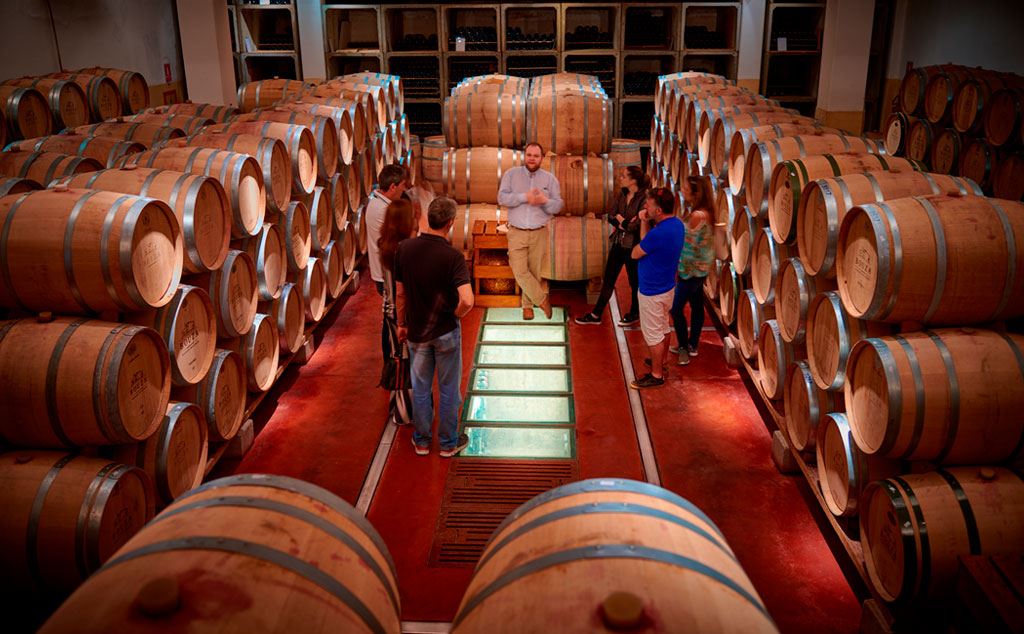 Visita, Degustación Y Almuerzo En Bodega Bouza (4)