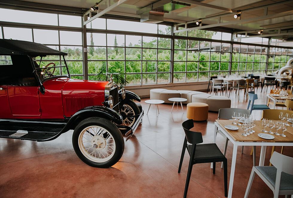 Visita, Degustación Y Almuerzo En Bodega Bouza (3)