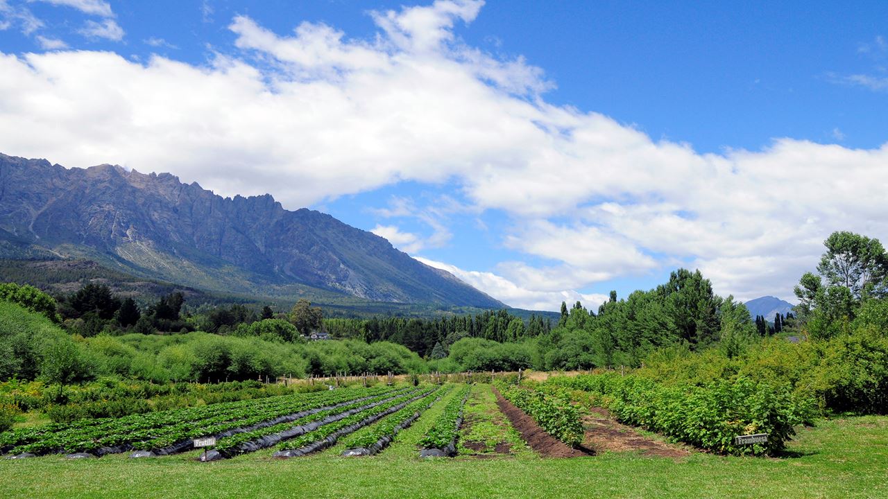 Visit El Bolson And Lago Puelo foto 4