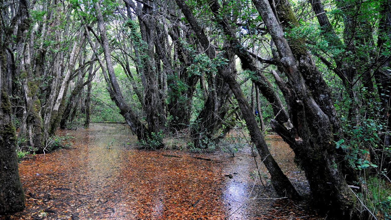 Visit El Bolson And Lago Puelo foto 1