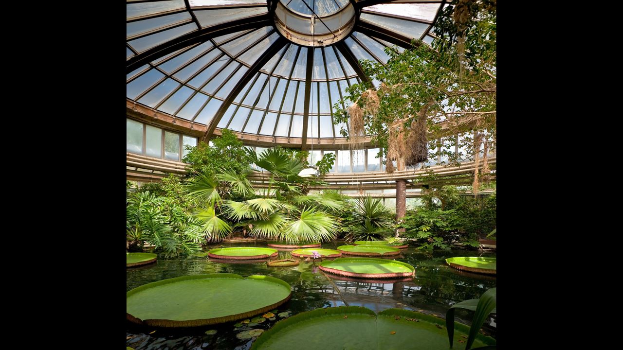 Visit The Botanical Garden (1)