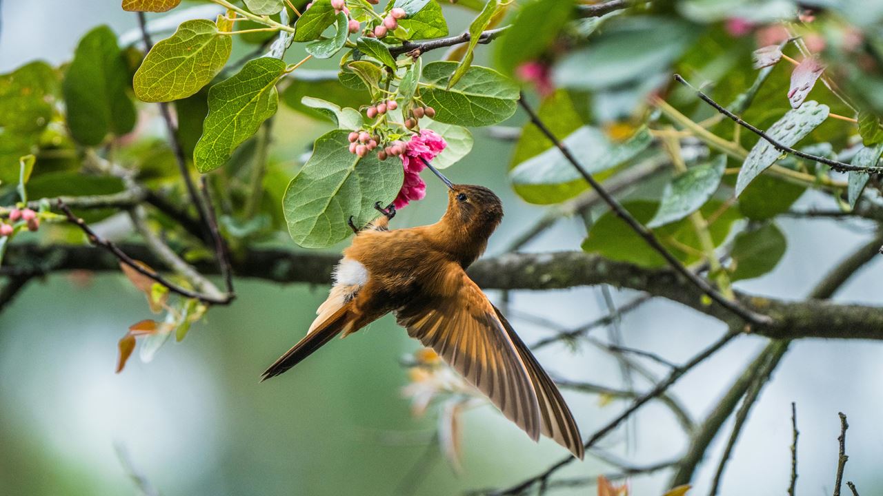 Visit The Botanical Garden (5)