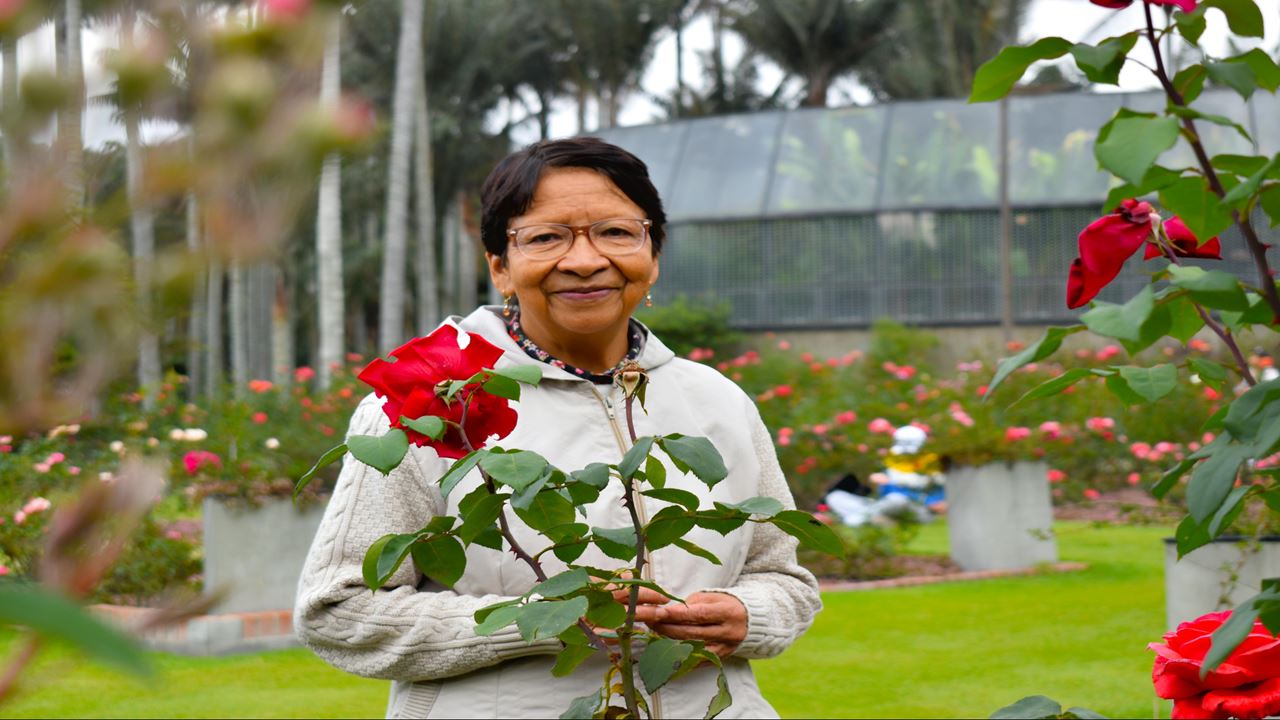 Visit The Botanical Garden (2)