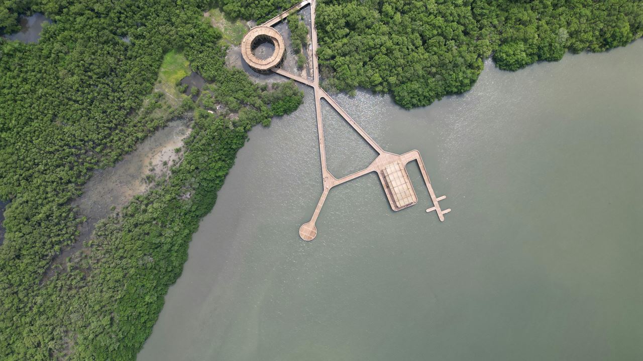 Visita Guiada Al Parque Ciénaga De Mallorquín foto 3