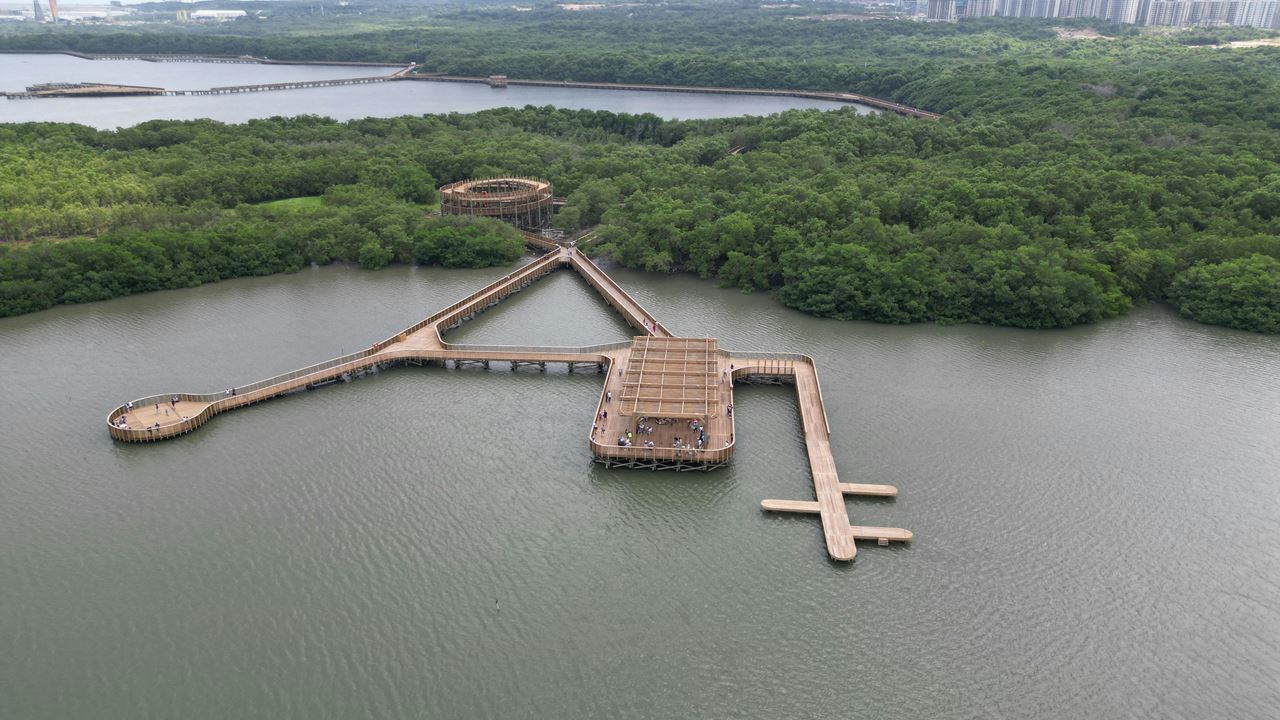 Visita Guiada Al Parque Ciénaga De Mallorquín foto 5