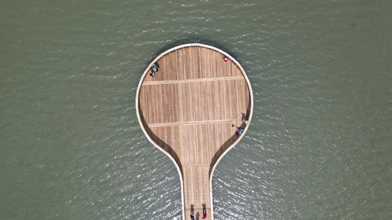 Visita Guiada Al Parque Ciénaga De Mallorquín foto 2