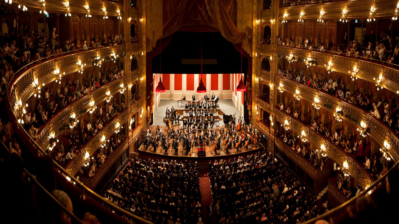 Visita Teatro Colon Y Museo Malba - Walking Tour (1)
