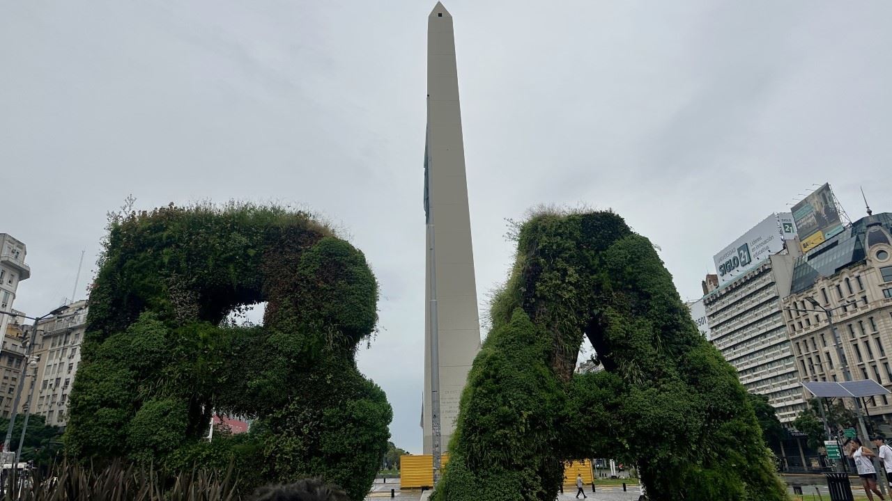 Visita Teatro Colon Y Museo Malba - Walking Tour (7)
