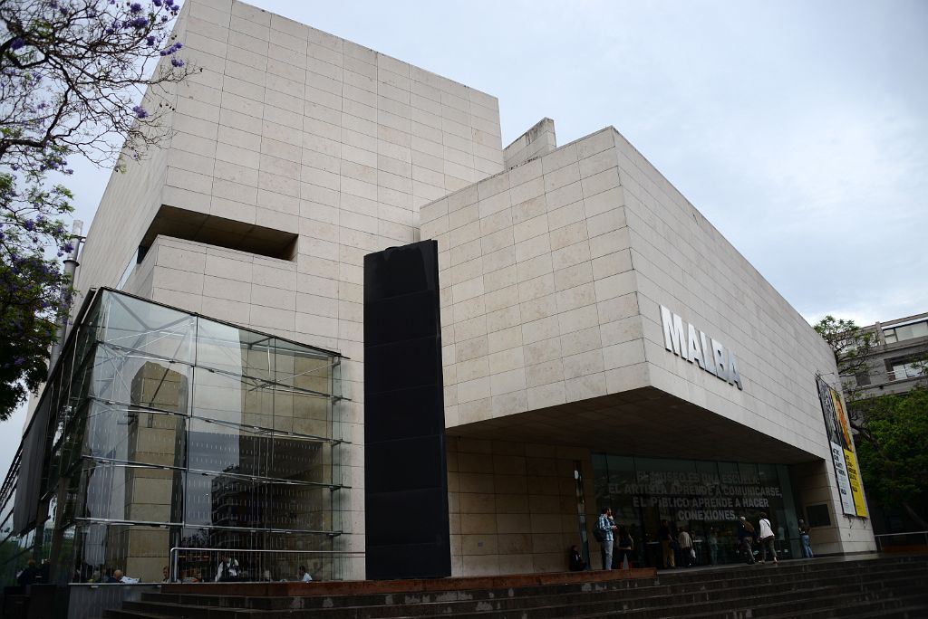 Visita Teatro Colon Y Museo Malba - Walking Tour (4)