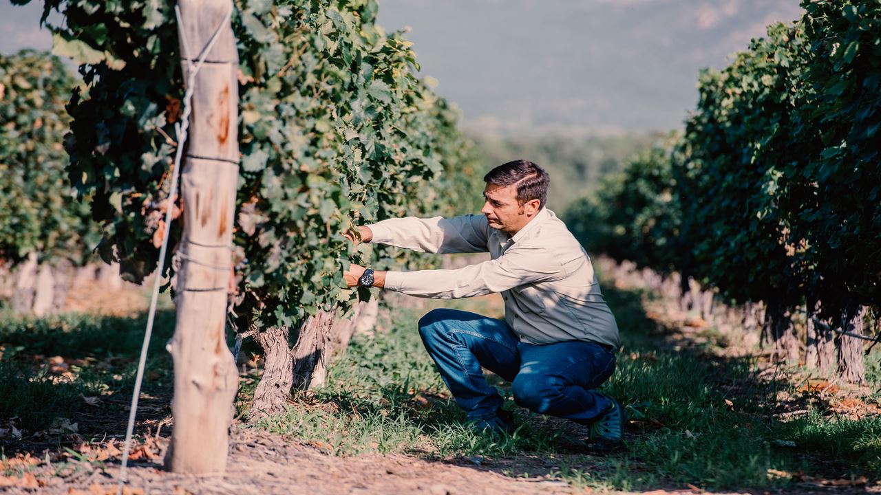 Visita Y Cata De Vinos En Bodega El Esteco foto 7