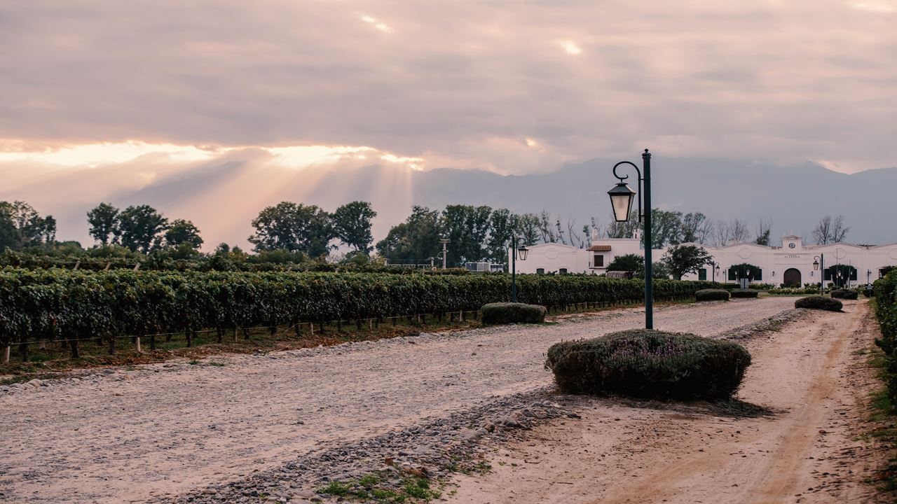 Visita Y Cata De Vinos En Bodega El Esteco foto 9