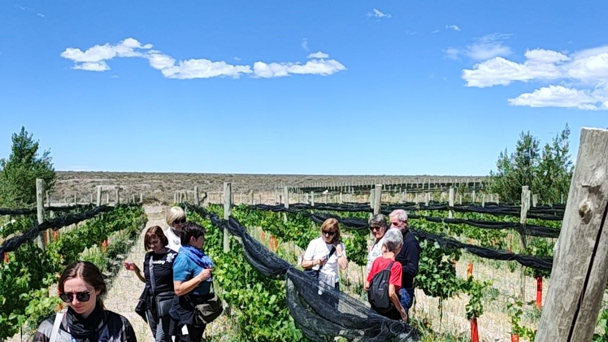 Visita Y Degustación De Vinos En Estancia Las Bardas (1)