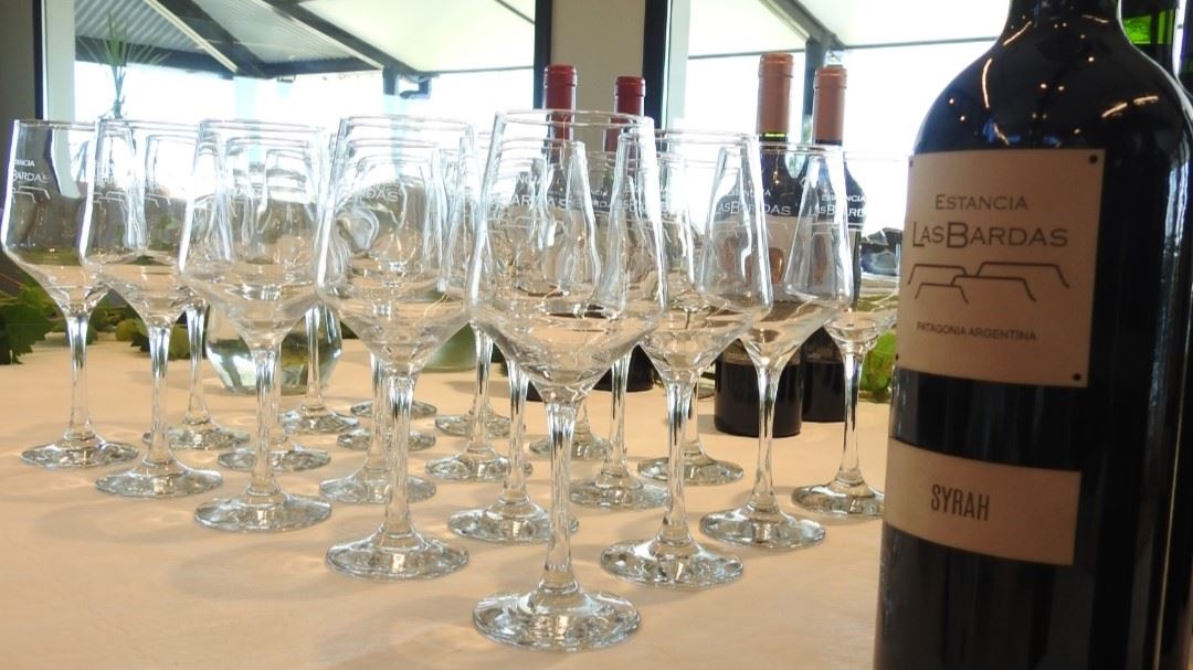 Visita Y Degustación De Vinos En Estancia Las Bardas (0)