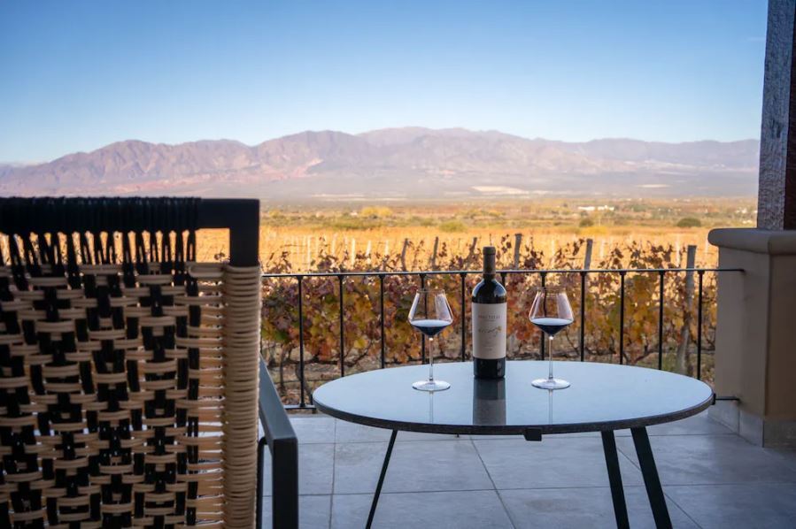 Visita Y Degustacion De Vinos Y Quesos En Bodega Piattelli foto 4