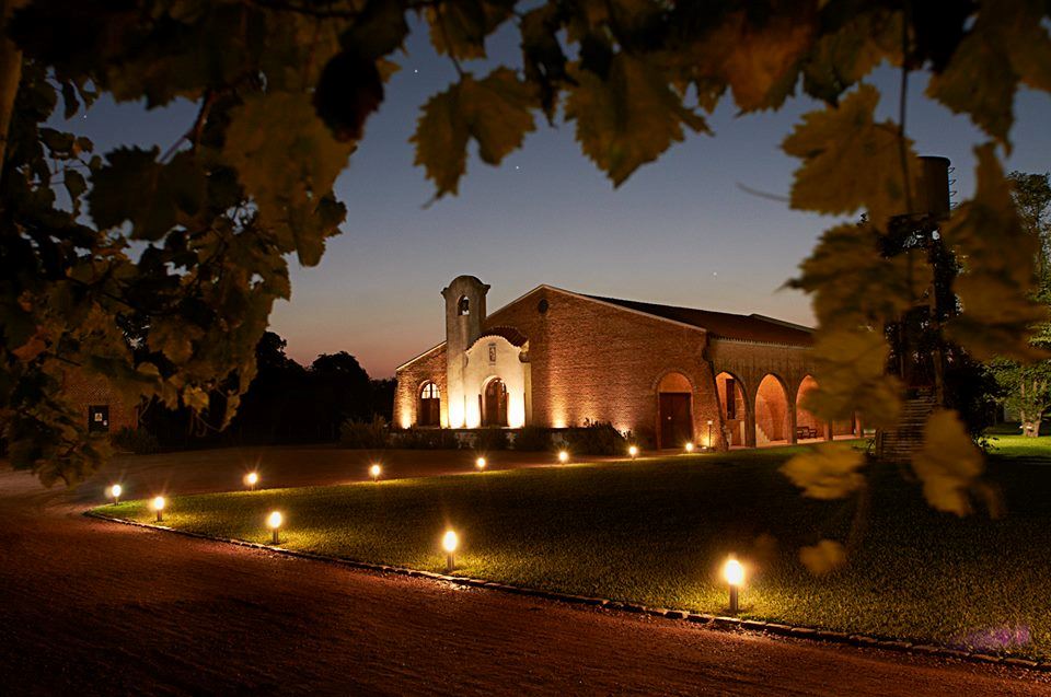 Visita Y Degustación En Bodega Bouza (7)