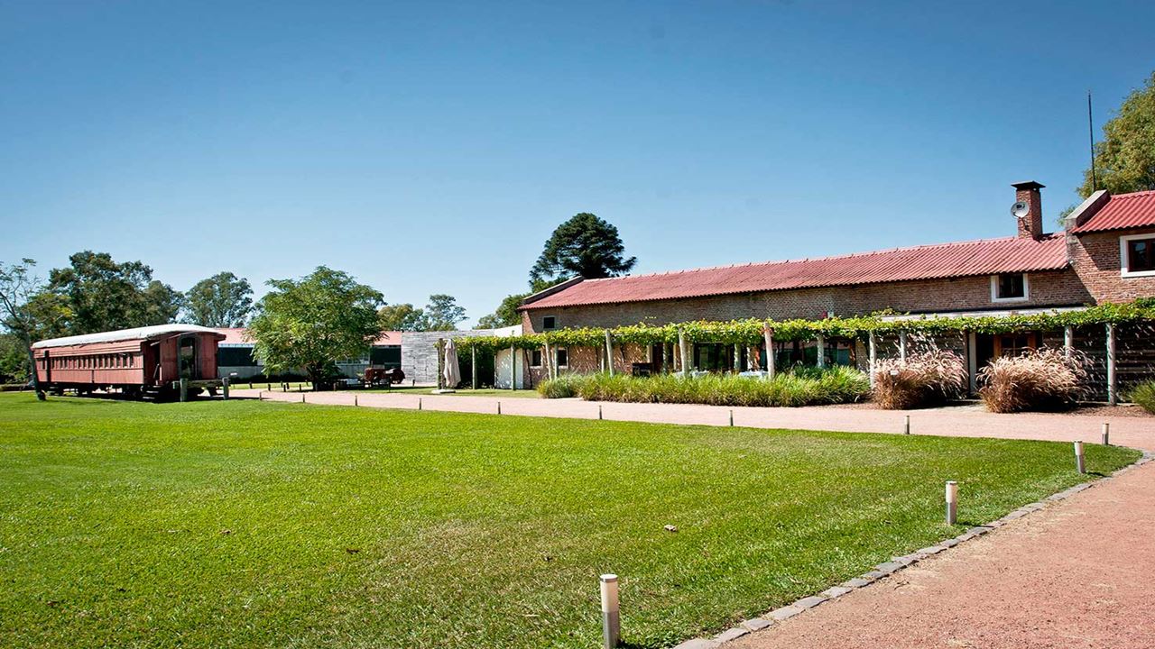 Visita Y Degustación En Bodega Bouza (2)