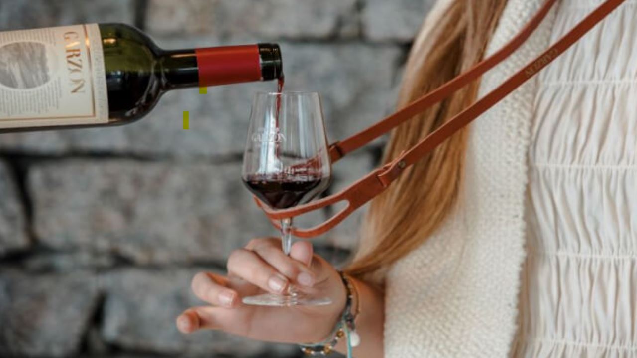 Visita E Degustação Na Vinícola Garzón foto 3