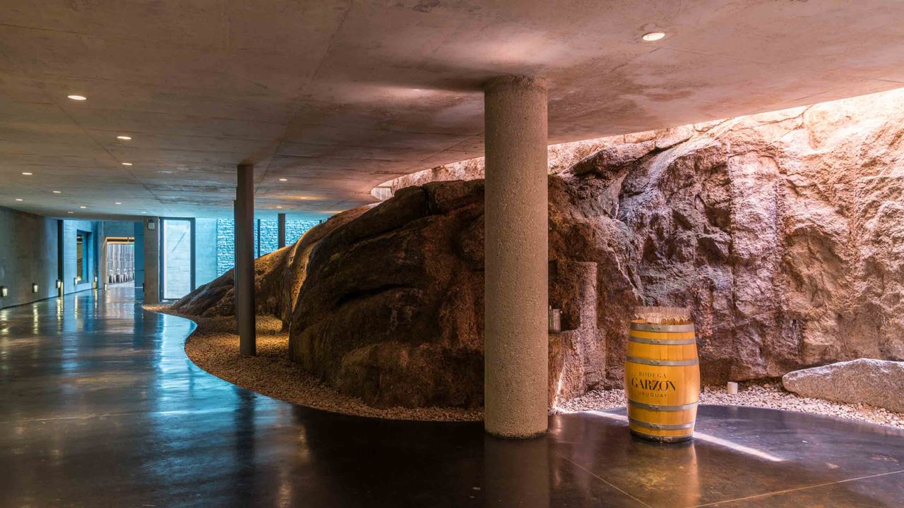 Premium Visit And Tasting At Garzón Winery foto 3