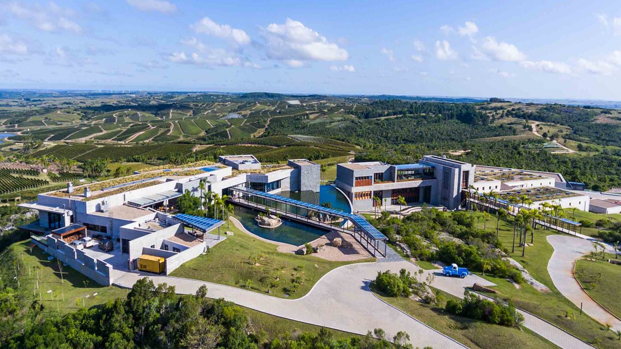 Premium Visit And Tasting At Garzón Winery foto 9