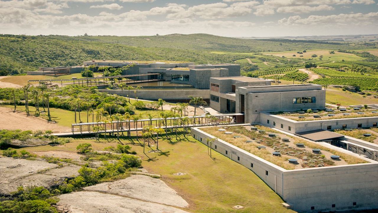 Premium Visit And Tasting At Garzón Winery foto 6