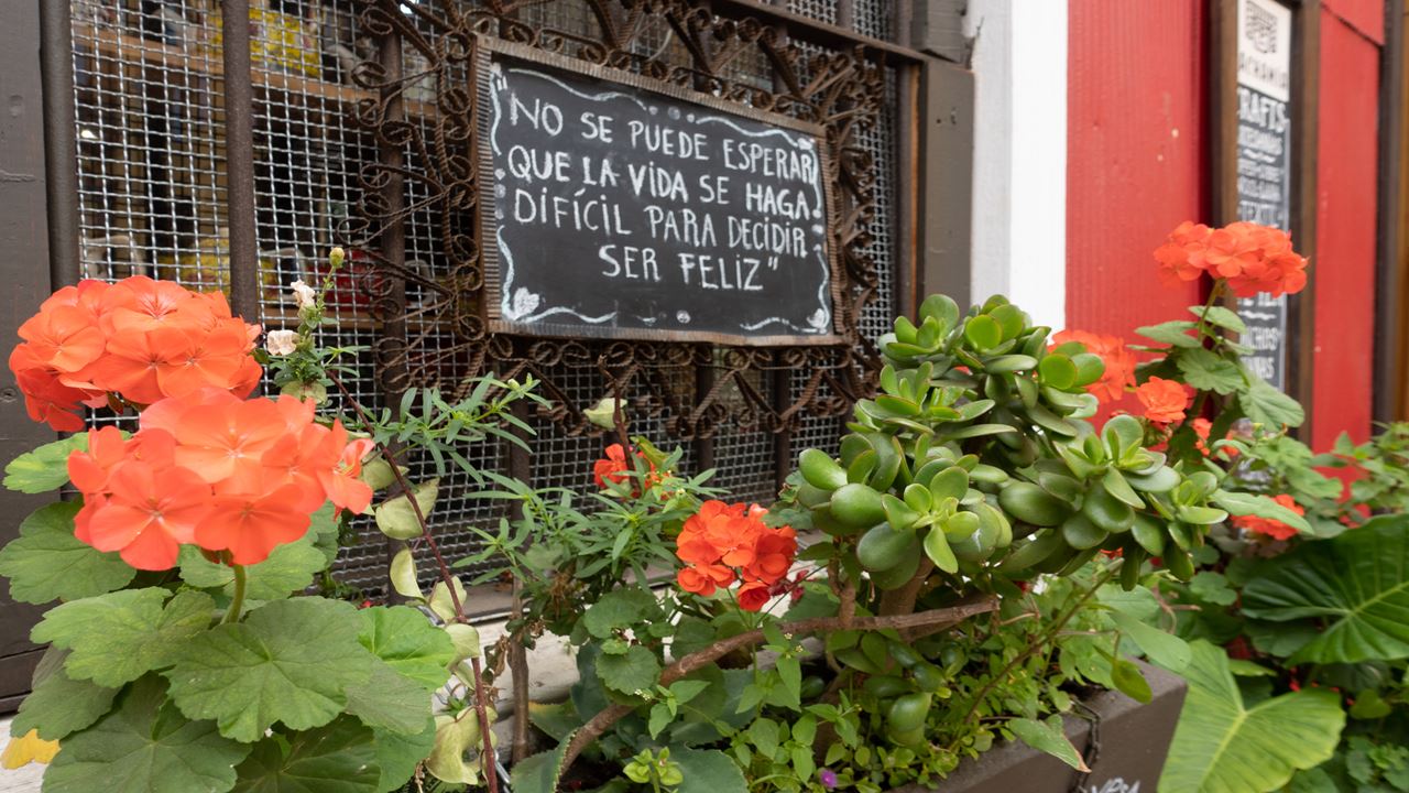Experimente Valparaiso Como Um Morador Local (6)
