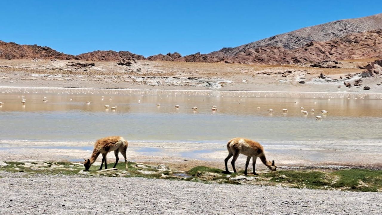 Galán Volcano foto 8