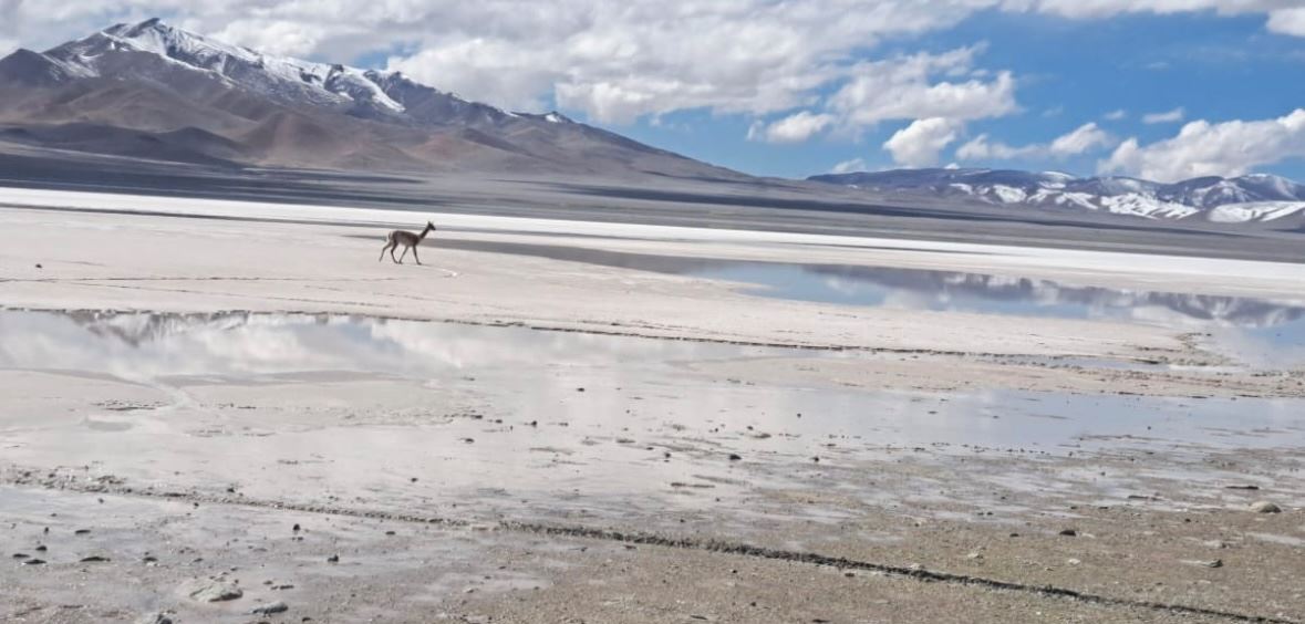 Galán Volcano foto 12
