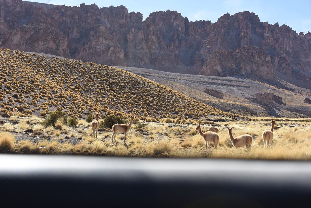 Galán Volcano foto 5