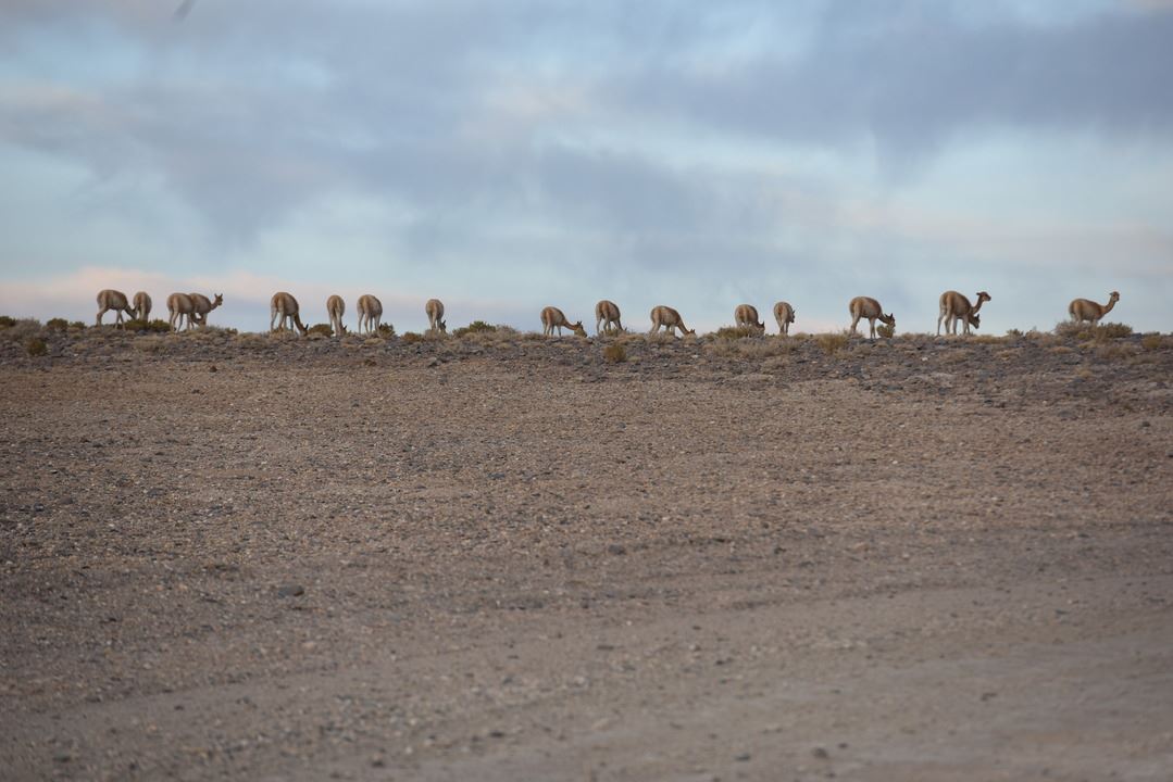 Galán Volcano foto 1