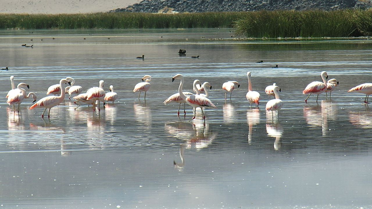 Vulcão Galan Em 4x4 foto 4