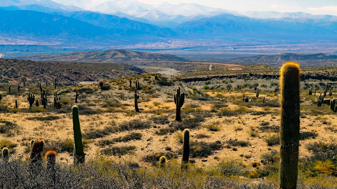 Go Round To The Calchaquies´s Valleys (2)