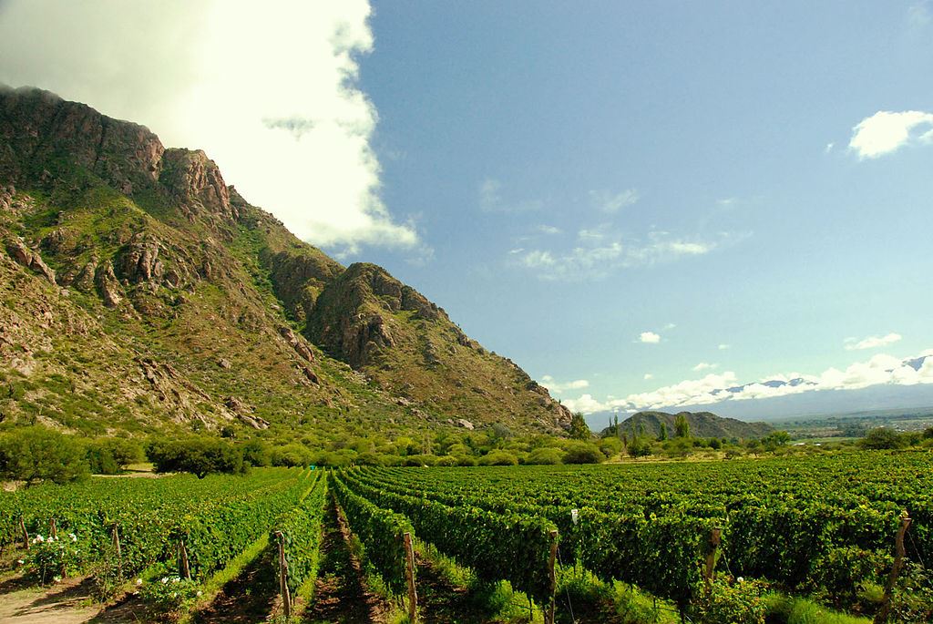 Go Round To The Calchaquies´s Valleys (3)