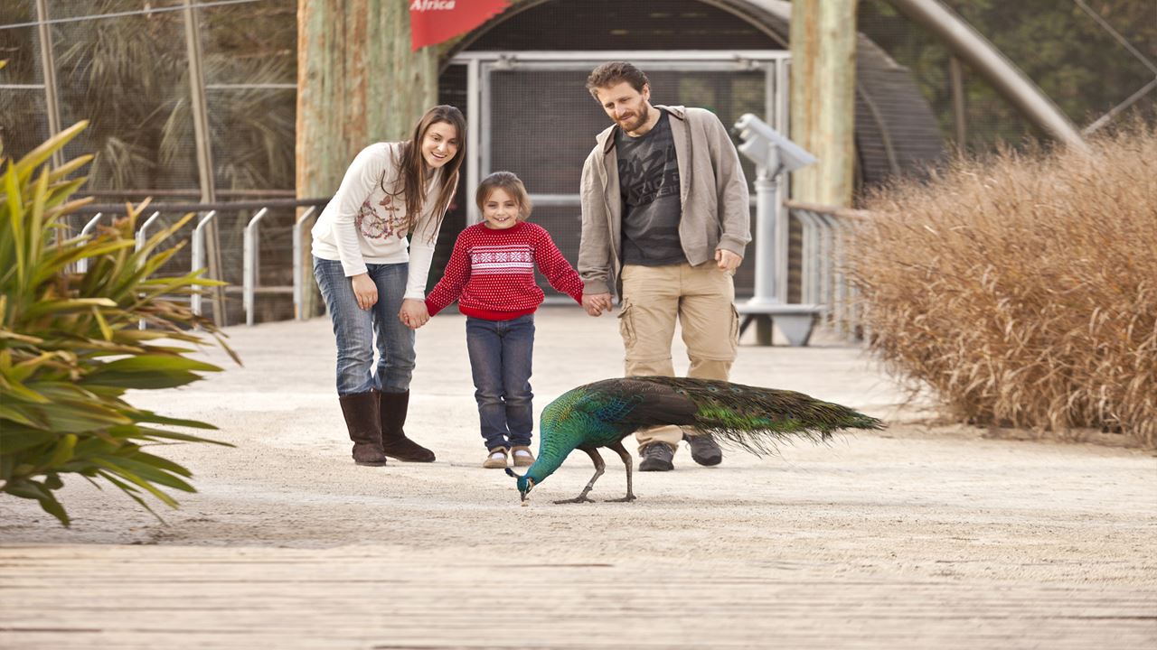 Zoo Temaiken (7)