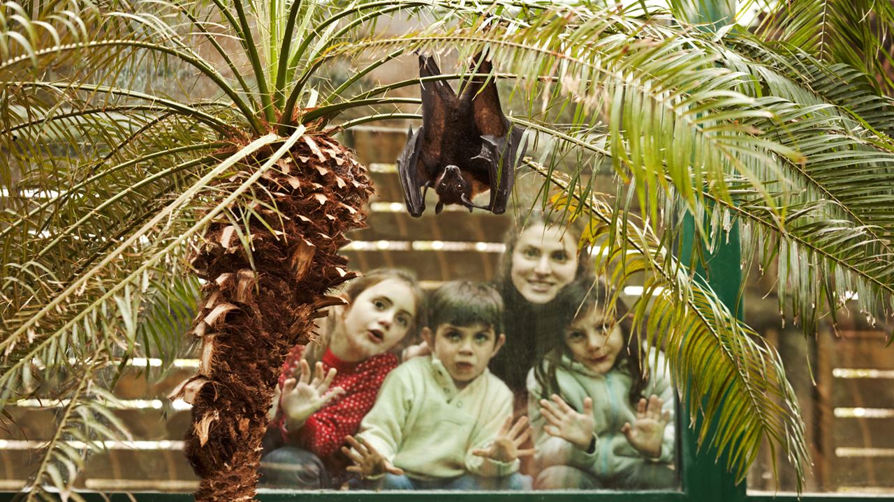 Zoo Temaiken (5)