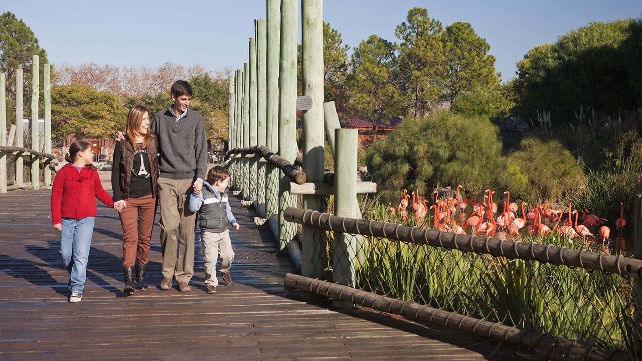 Zoo Temaiken (8)