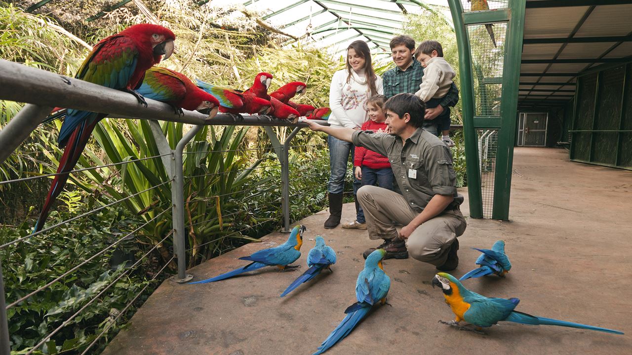 Zoo Temaiken (2)