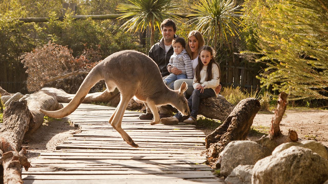 Zoo Temaiken (3)