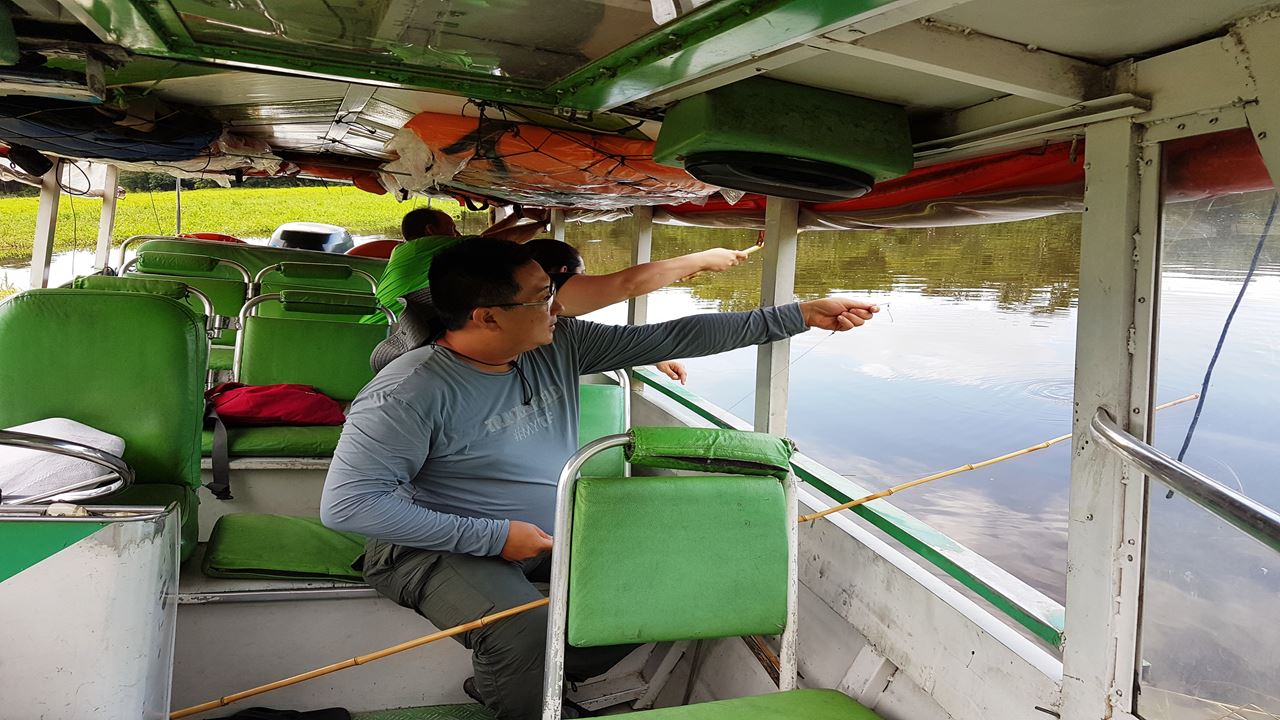 Avistaje De Caimanes Y Pesca De Pirañas