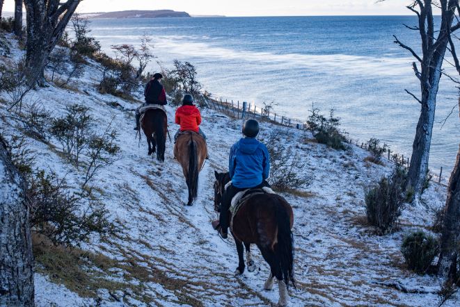 Avistamiento De Delfines Y Cabalgata