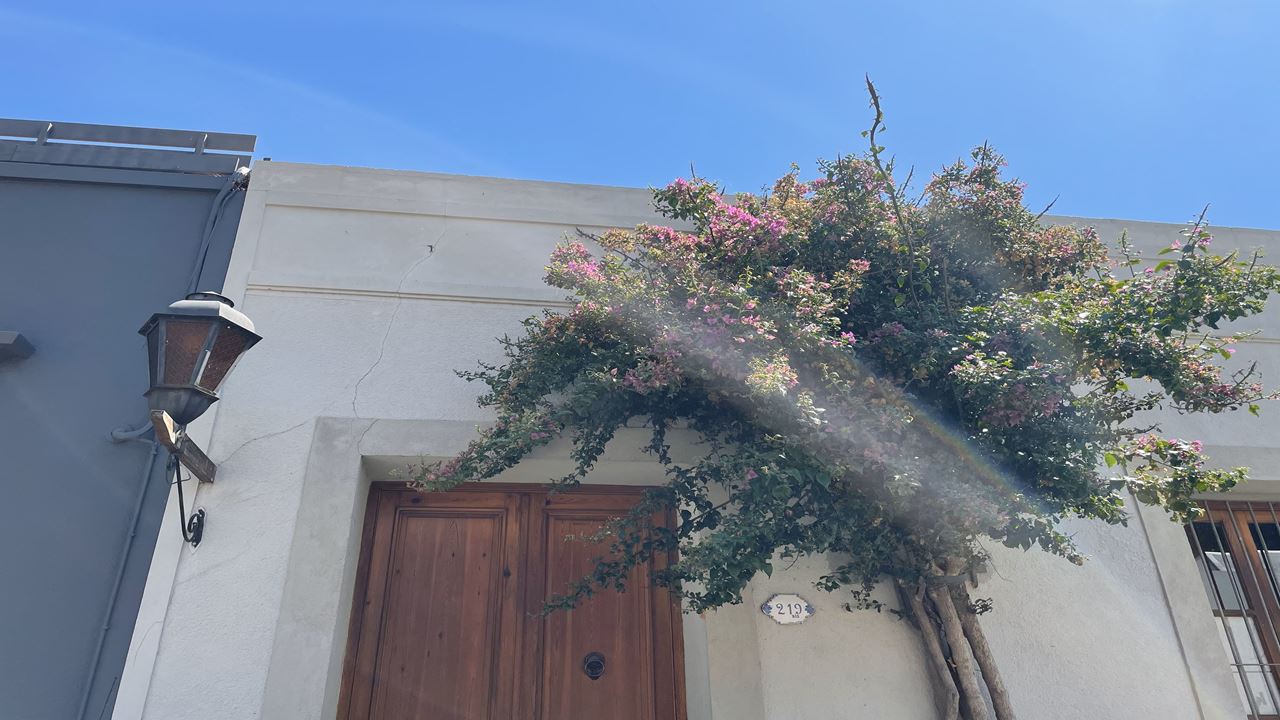 Historic District On Foot