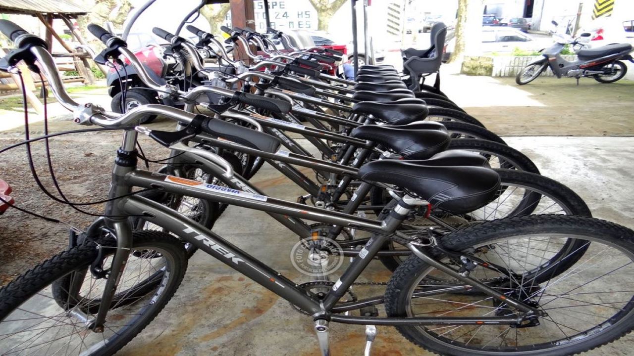 Barrio Histórico, Real De San Carlos Y Playas En Bici