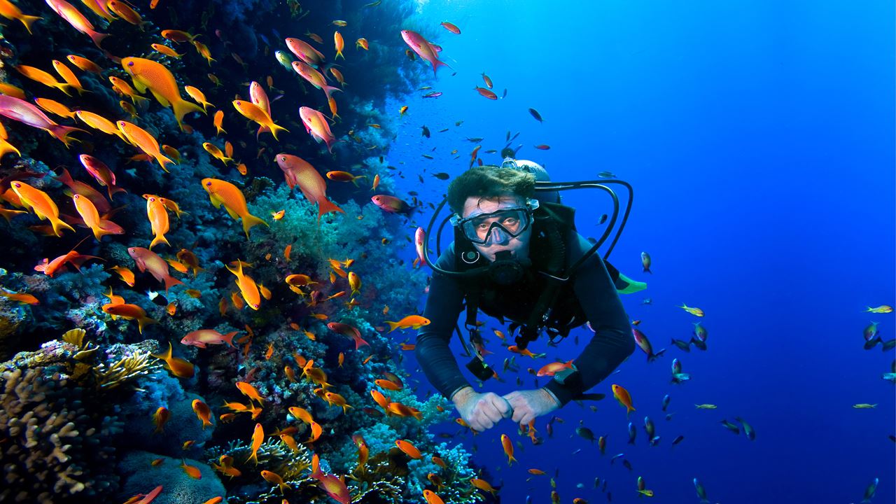 Diving Baptism In Búzios