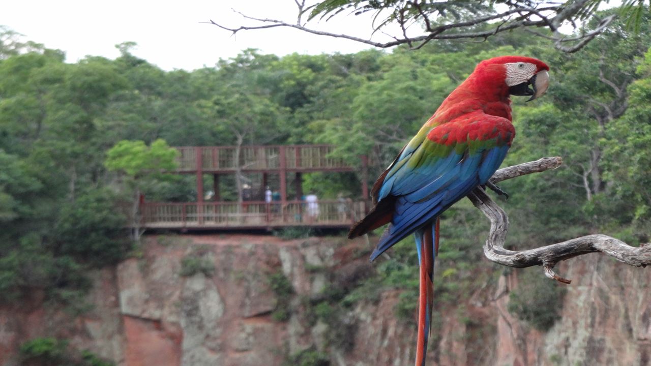 Ecoturismo Buraco Das Araras