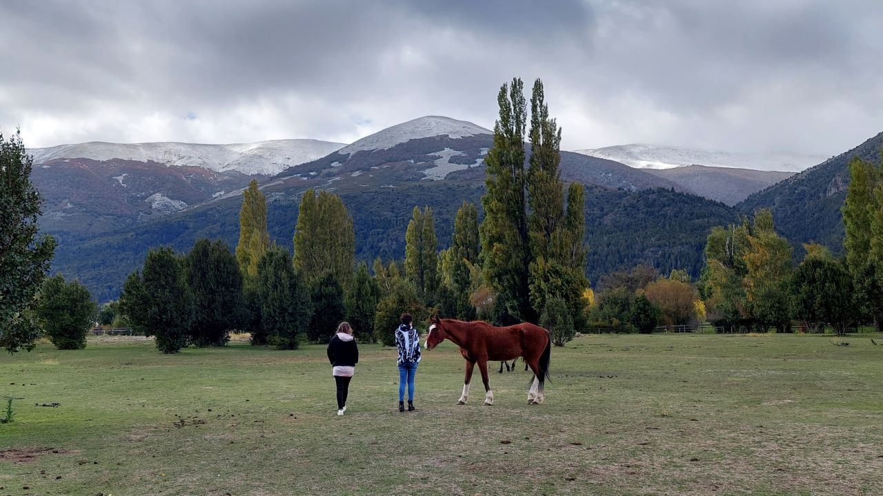 Cabalgata En Estancia Peuma Hue