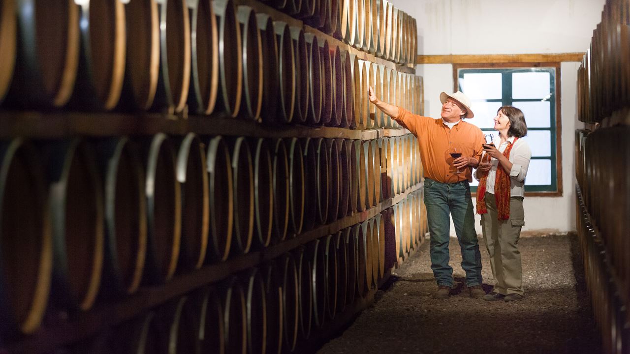 Estrada Do Vinho Premium