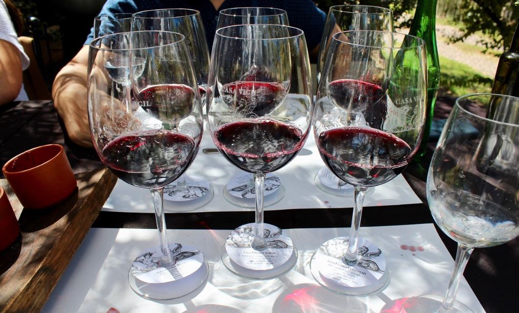 Degustação De Vinhos Na Vinícola Casa Vigil