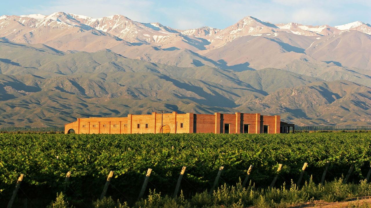 Degustação De Vinhos De Alta Qualidade E Almoço No Vale Do Uco