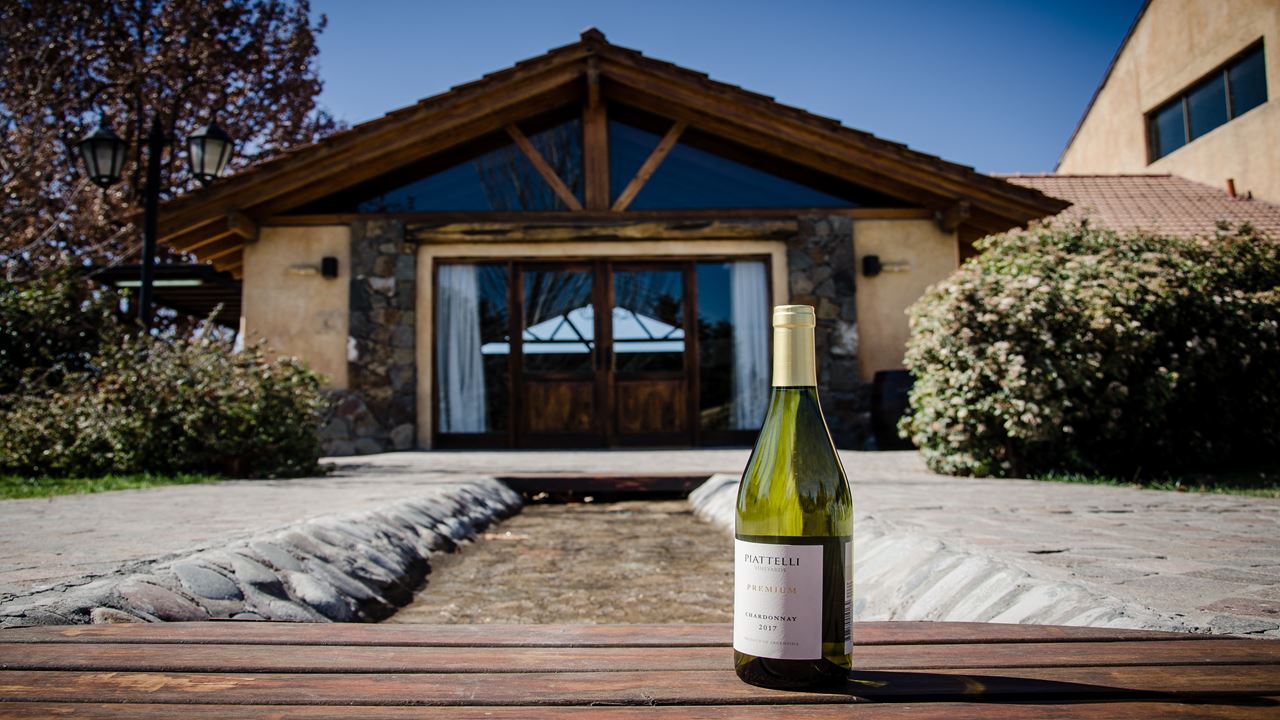 Degustação De Vinhos E Almoço Em Lujan De Cuyo