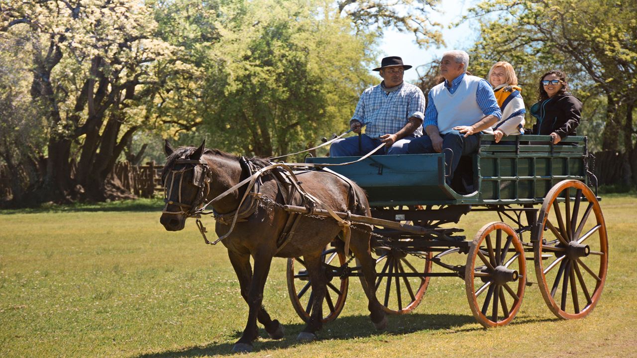 Dia De Campo En Estancia El Ombu De Areco